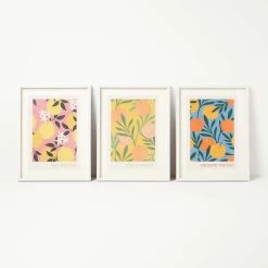 Set Of 3 Colourful Summer Fruits Framed Print Wall Art