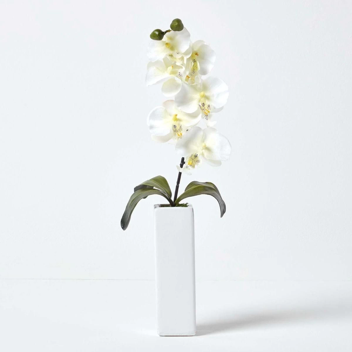 Set Of 2 Artificial Pink & Cream Orchids In Thin Cream Vases, 43 Cm - Image 2