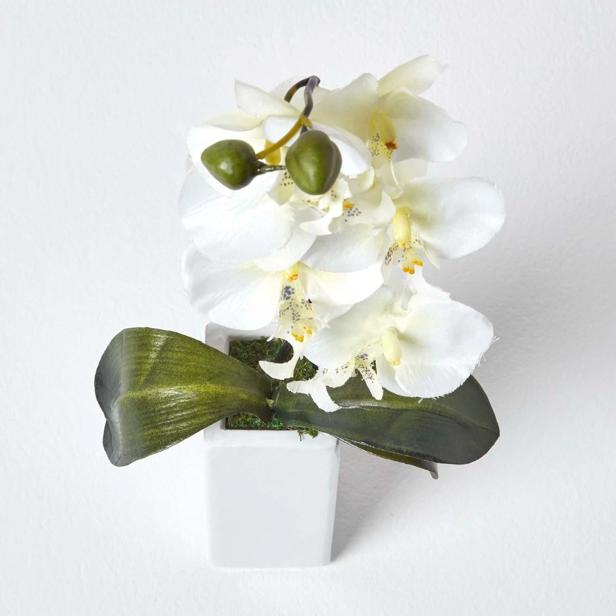 Set Of 2 Artificial Pink & Cream Orchids In Thin Cream Vases, 43 Cm - Image 4