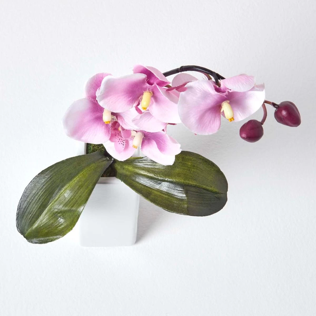 Set Of 2 Artificial Pink & Cream Orchids In Thin Cream Vases, 43 Cm - Image 5