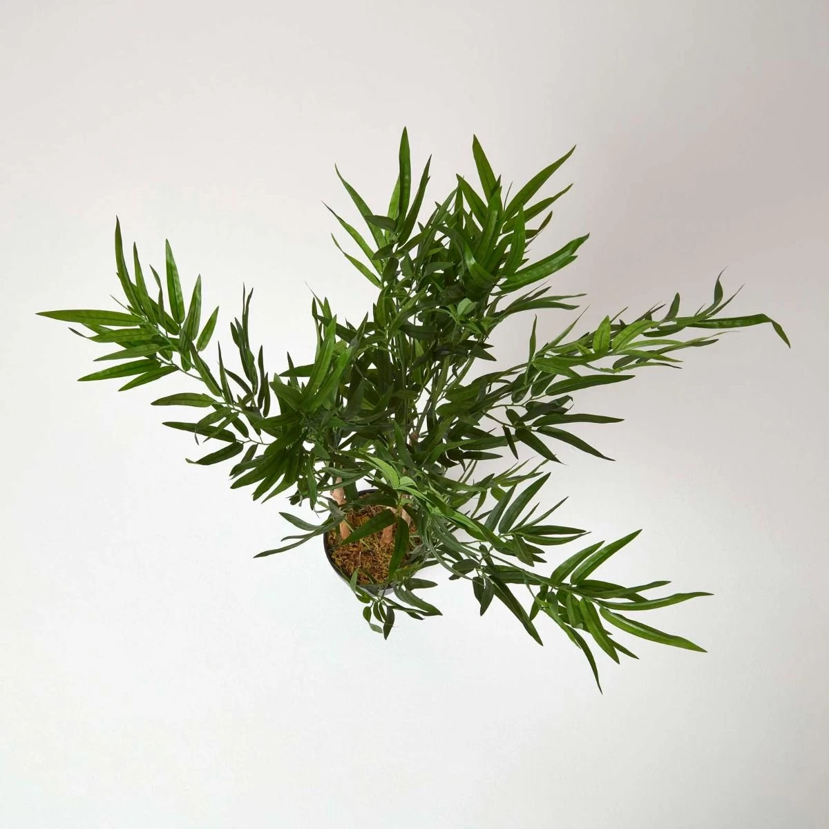 Green 3ft Bamboo Tree Artificial Plant With Pot, 95 Cm - Image 2