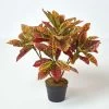 Red 'Rushfoil' Artificial Croton Plant With Pot, 65 Cm