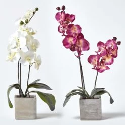 Set Of 2 Artificial Burgundy & Cream Orchids In Stone Pots, 57 Cm