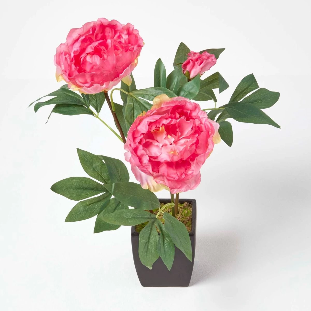 Pink Artificial Peonies In Decorative Black Pot, 48 Cm Tall