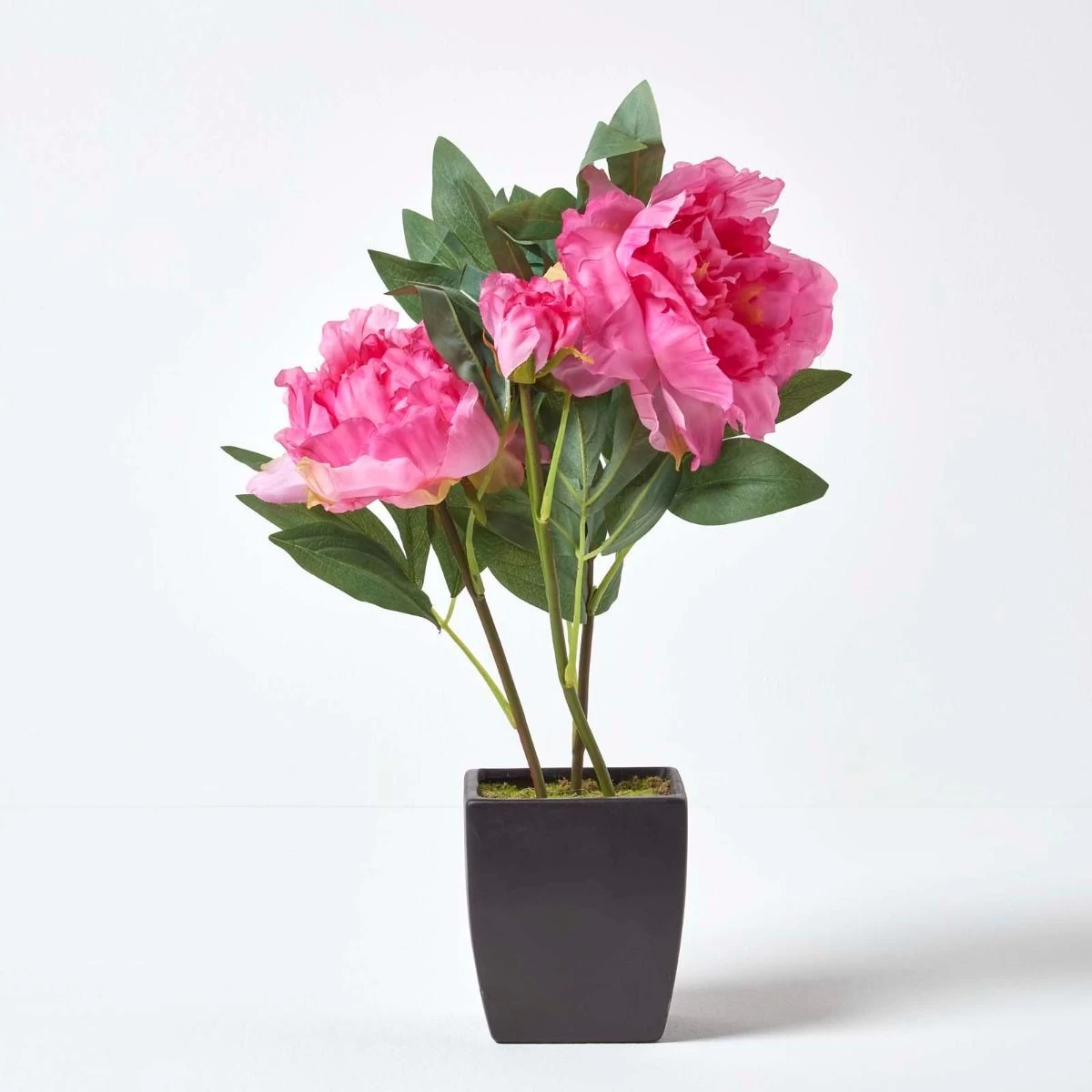 Pink Artificial Peonies In Decorative Black Pot, 48 Cm Tall - Image 2