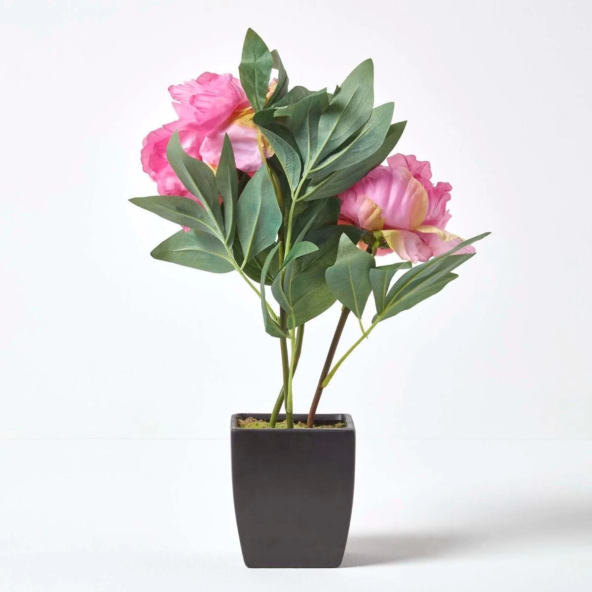 Pink Artificial Peonies In Decorative Black Pot, 48 Cm Tall - Image 6