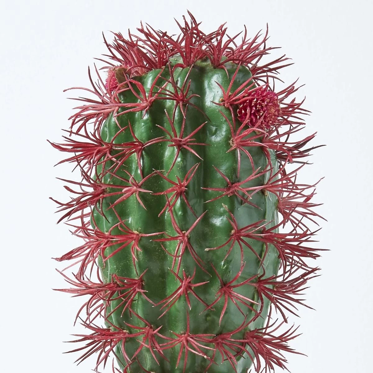 Denmoza Artificial Cactus With Flowers In Patterned Pot, 25 Cm Tall - Image 6