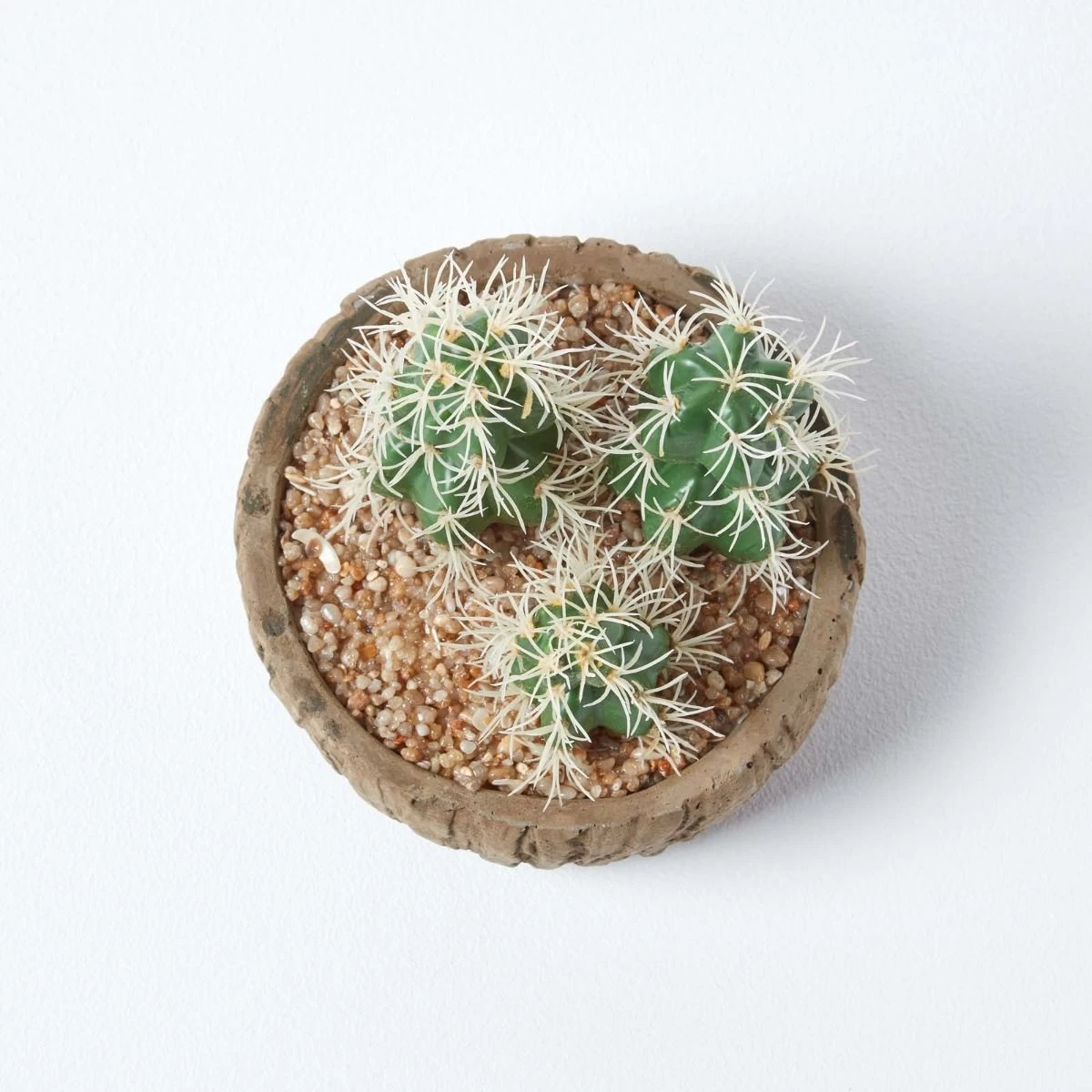 Echinocactus Artificial Cactus In Round Wooden Planter, 15 Cm Tall - Image 3