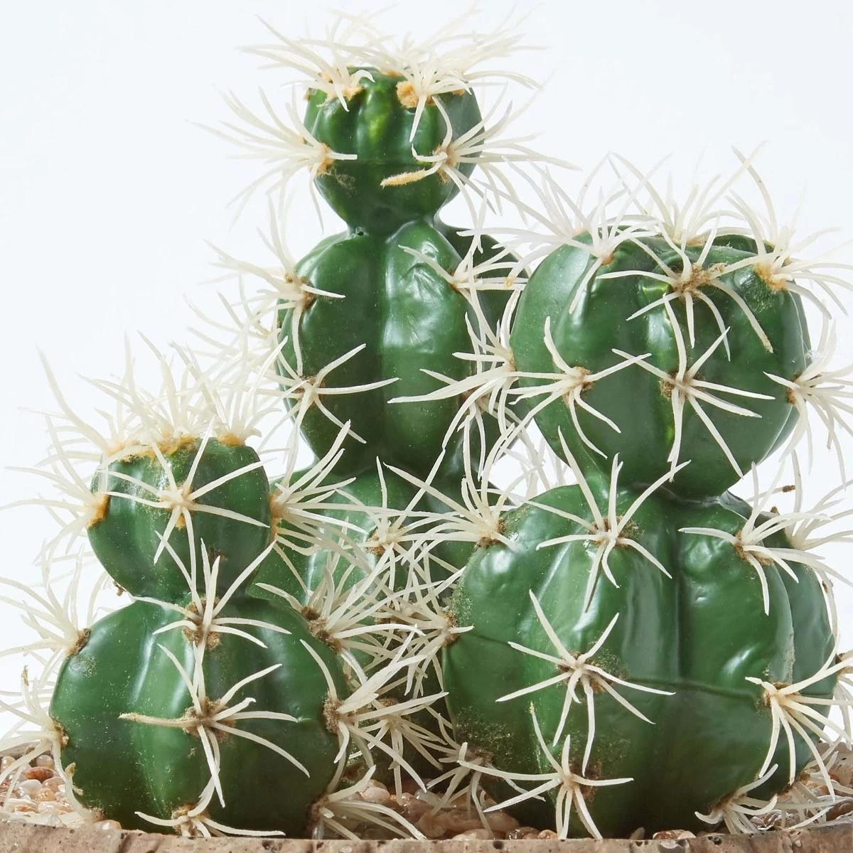 Echinocactus Artificial Cactus In Round Wooden Planter, 15 Cm Tall - Image 5