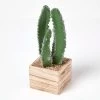 Artificial Cactus Plant In Wooden Pot, 33 Cm Tall