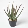 Large Aloe Vera Artificial Succulent In Black Pot