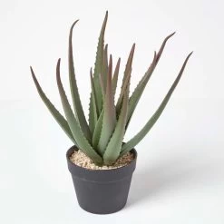 Large Aloe Vera Artificial Succulent In Black Pot, 45 Cm Tall