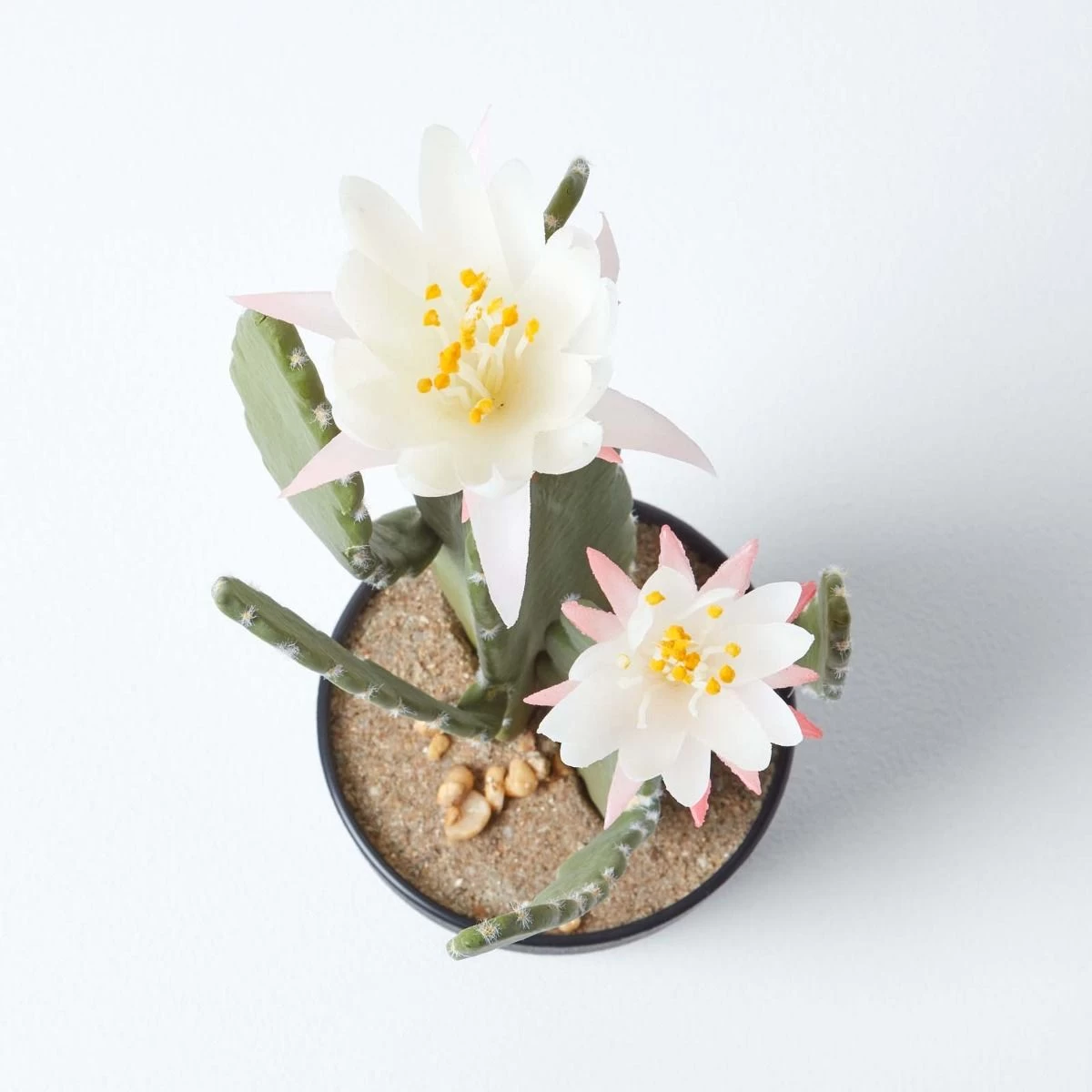 Artificial Cactus Queen Of The Night Flower In Black Pot, 41 Cm Tall - Image 4