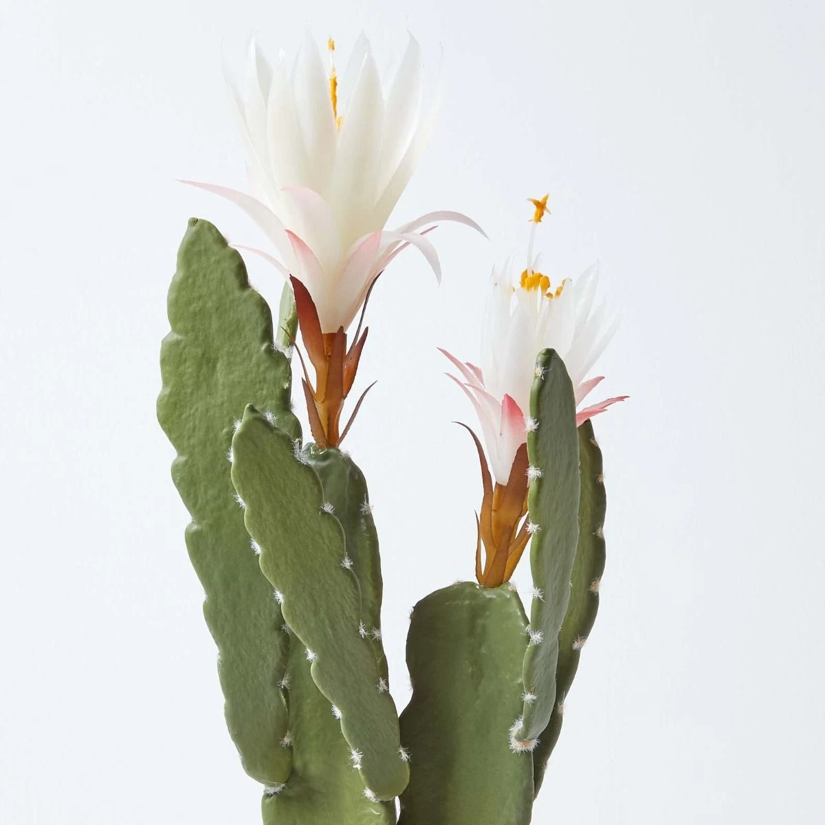 Artificial Cactus Queen Of The Night Flower In Black Pot, 41 Cm Tall - Image 6