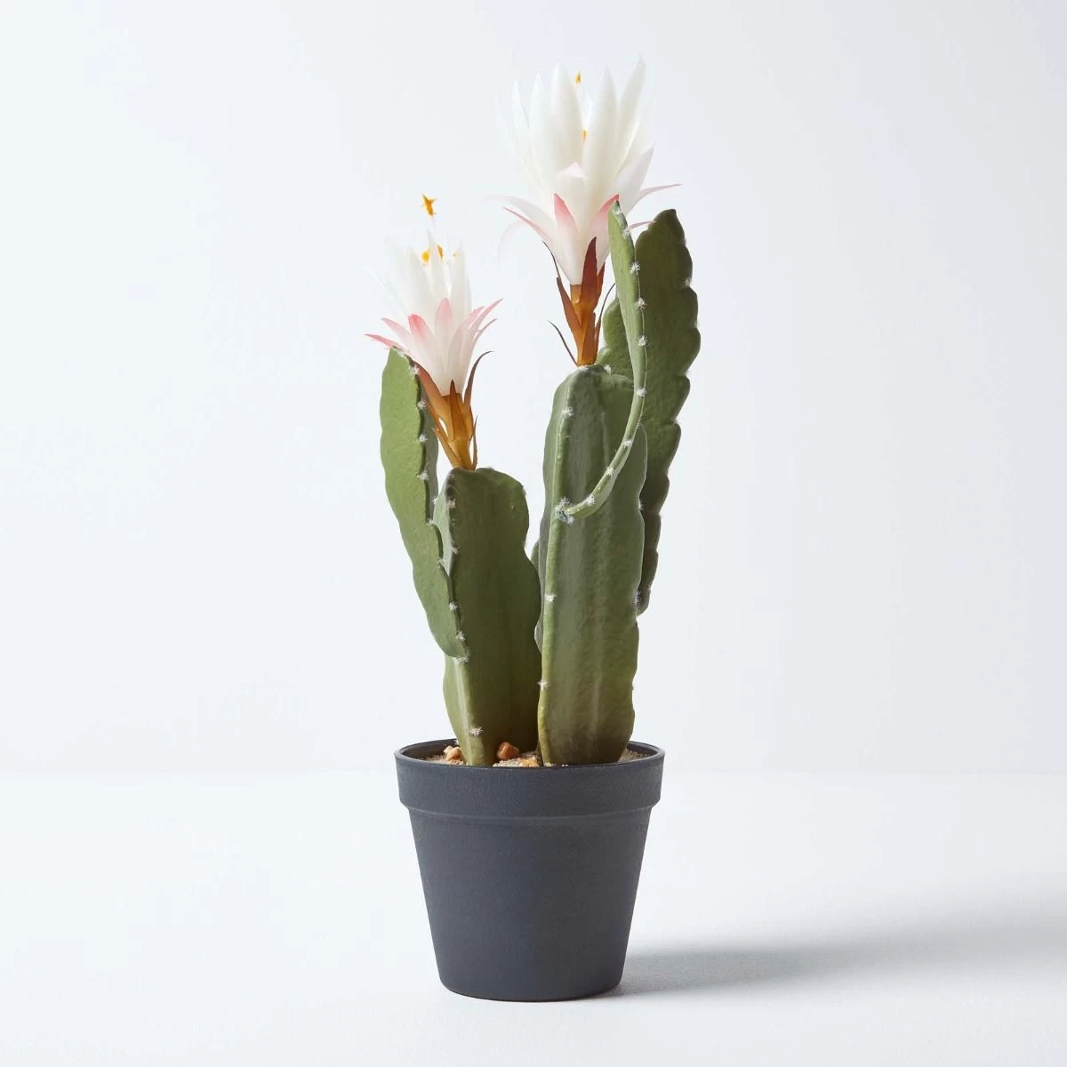 Artificial Cactus Queen Of The Night Flower In Black Pot, 41 Cm Tall - Image 7
