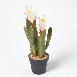 Artificial Cactus Queen Of The Night Flower In Black Pot, 41 Cm Tall