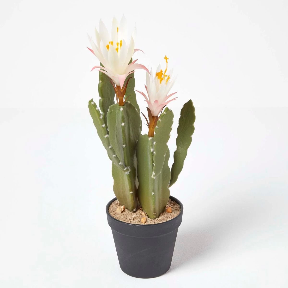 Artificial Cactus Queen Of The Night Flower In Black Pot, 41 Cm Tall