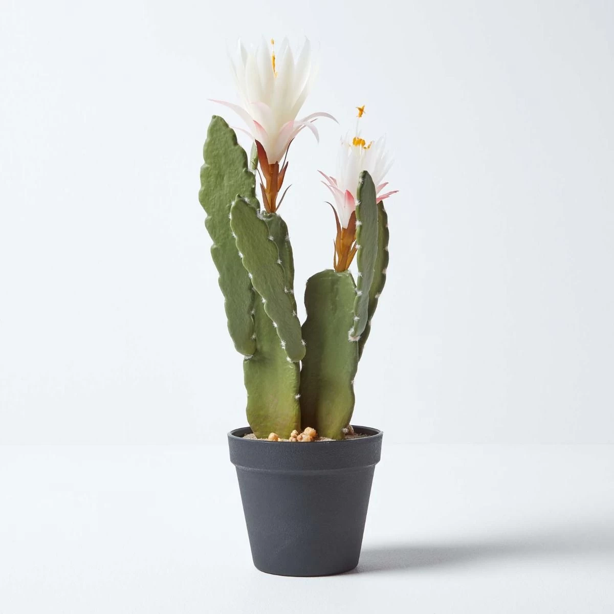 Artificial Cactus Queen Of The Night Flower In Black Pot, 41 Cm Tall - Image 3