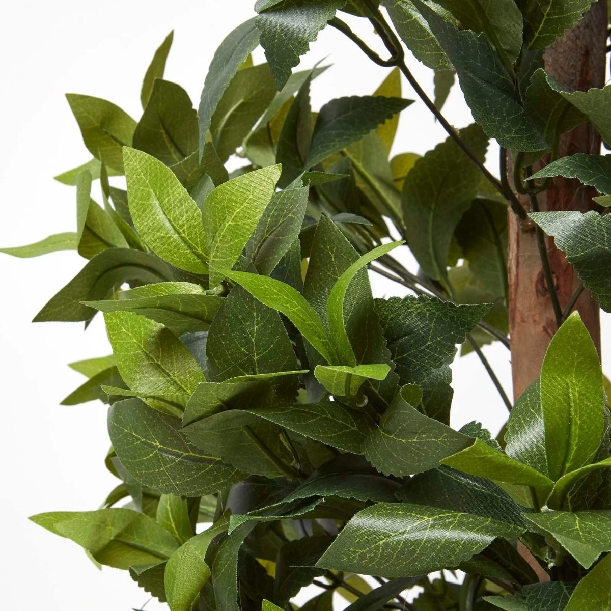 Green Artificial Bay Topiary Tree In Pyramid Shape, 5 Ft Tall - Image 4