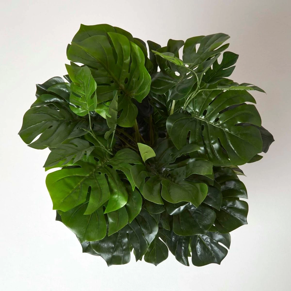 Artificial Monstera Plant - Image 3