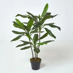 Artificial Cordyline Plant In Pot, 100 Cm Tall