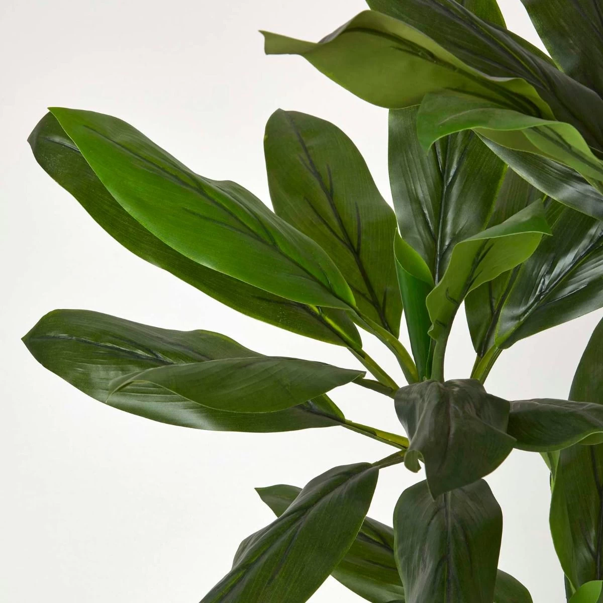 Artificial Cordyline Plant In Pot, 100 Cm Tall - Image 4