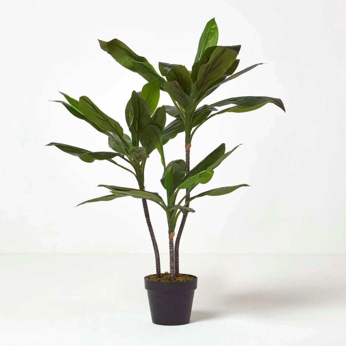 Artificial Cordyline Plant In Pot, 100 Cm Tall - Image 5