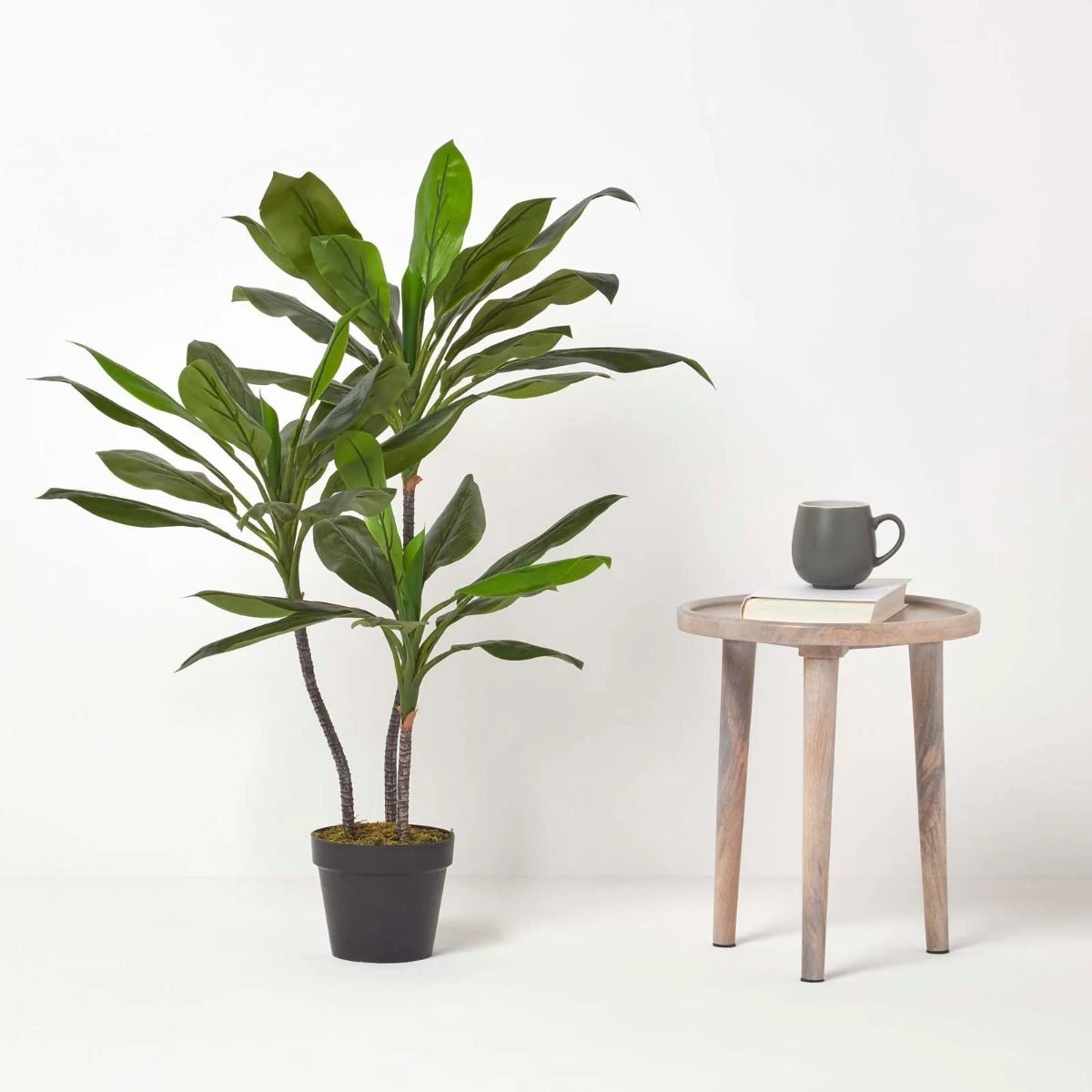 Artificial Cordyline Plant In Pot, 100 Cm Tall - Image 6
