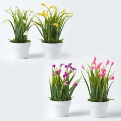 Set Of 4 Multi-Coloured Artificial Calla Lilies In White Pots