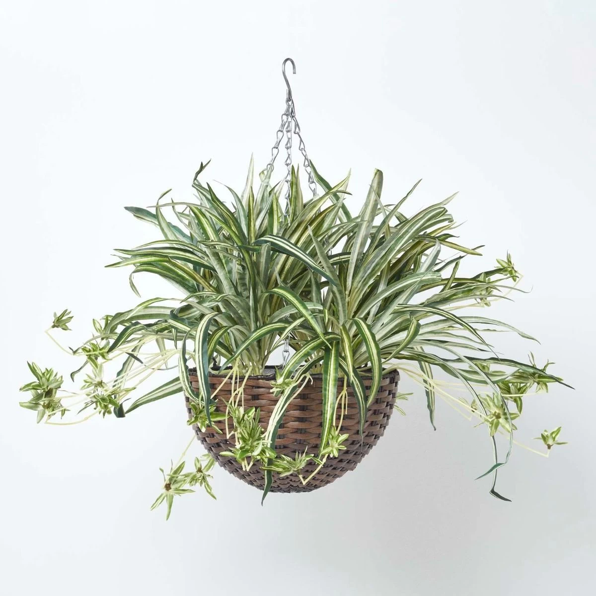 Artificial Hanging Basket Spider Plant, 60 Cm