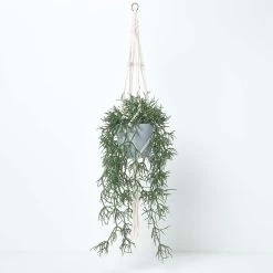 Artificial Hanging Basket Green Rhipsalis Plant, 116 Cm