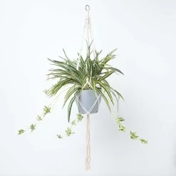 Artificial Hanging Basket Spider Plant, 95 Cm