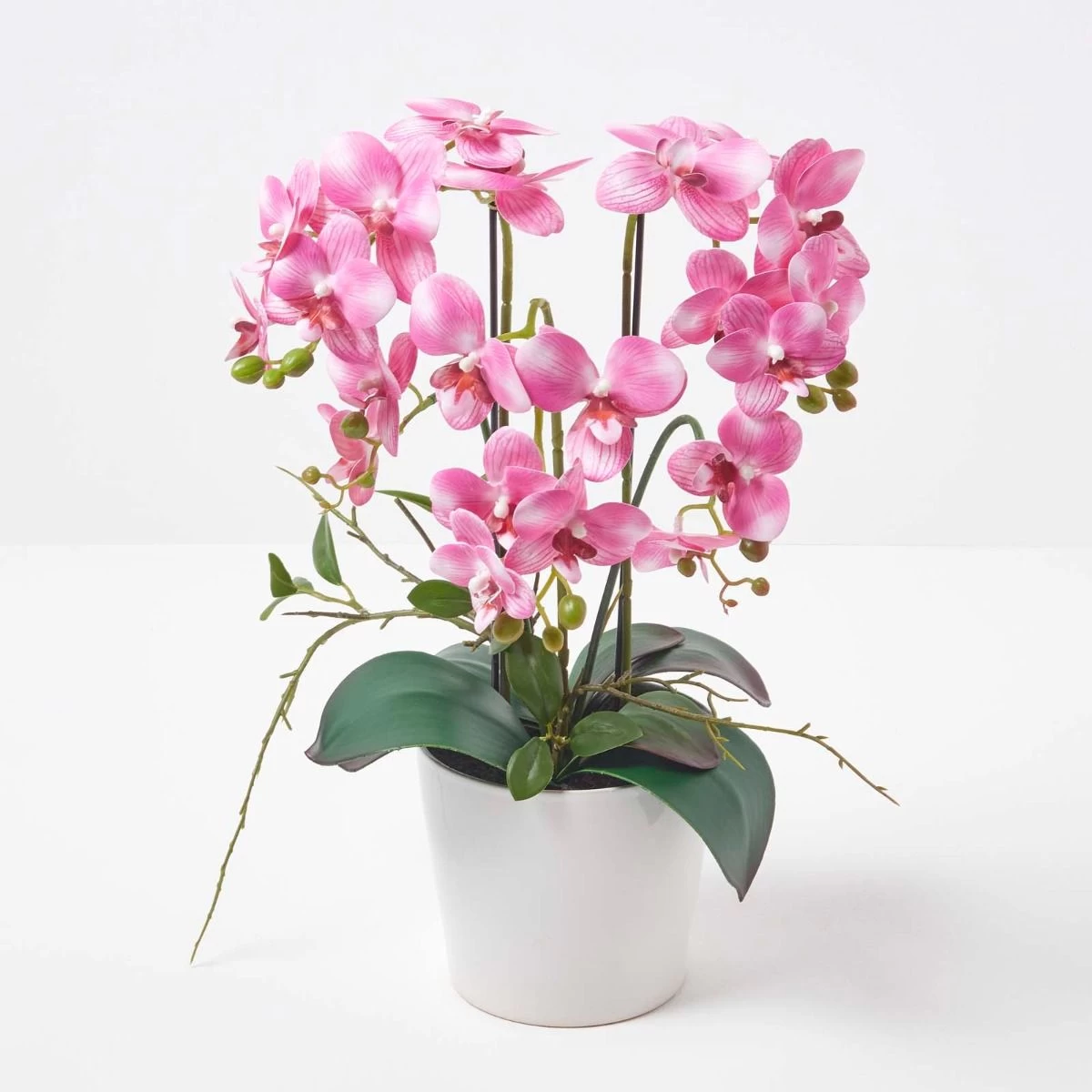 Pink Orchid 54 Cm Phalaenopsis In Ceramic Pot Extra Large, 5 Stems - Image 2