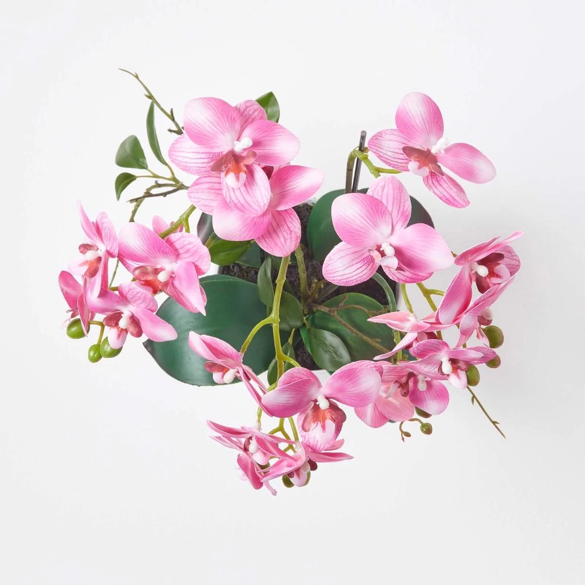 Pink Orchid 54 Cm Phalaenopsis In Ceramic Pot Extra Large, 5 Stems - Image 3