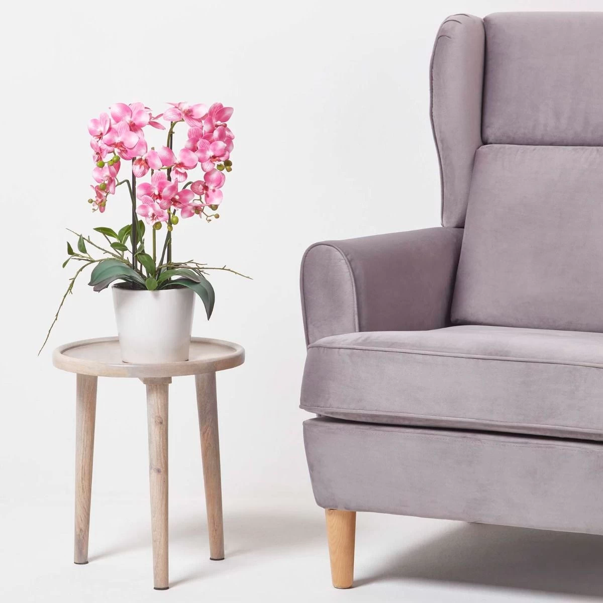 Pink Orchid 54 Cm Phalaenopsis In Ceramic Pot Extra Large, 5 Stems - Image 7