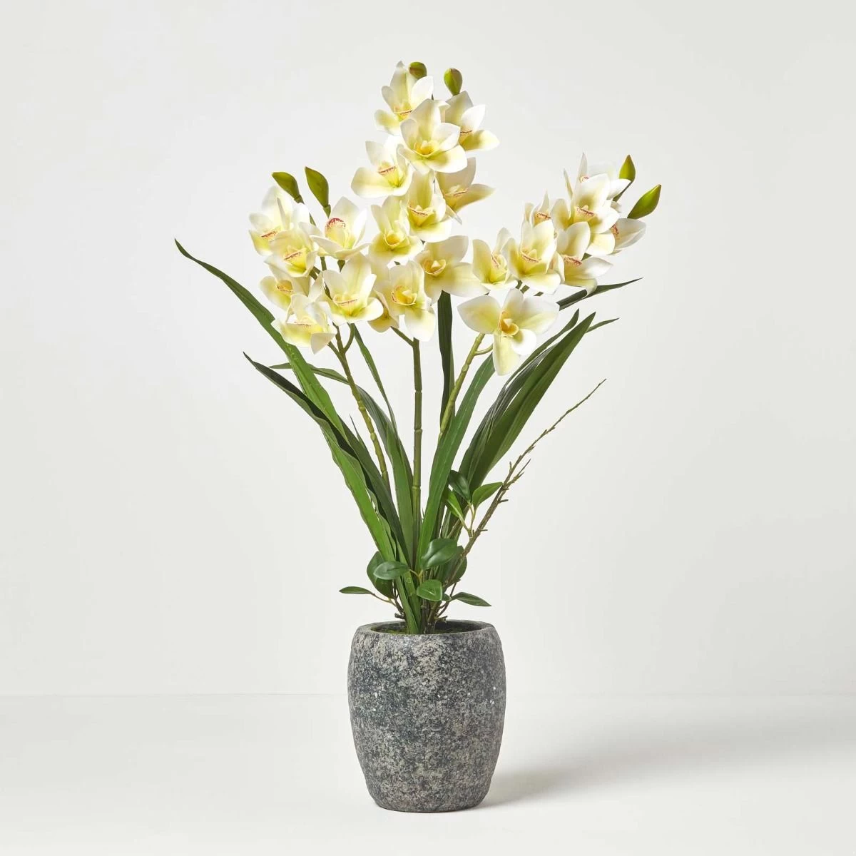 White Orchid 82 Cm Cymbidium In Cement Pot Extra Large, 3 Stems - Image 3