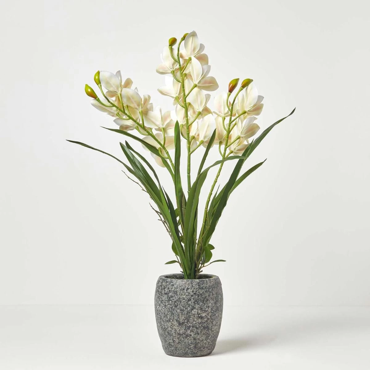 White Orchid 82 Cm Cymbidium In Cement Pot Extra Large, 3 Stems - Image 7