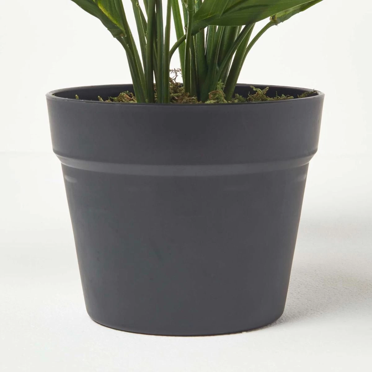 White Peace Lily In Pot, 60 Cm Tall - Image 5