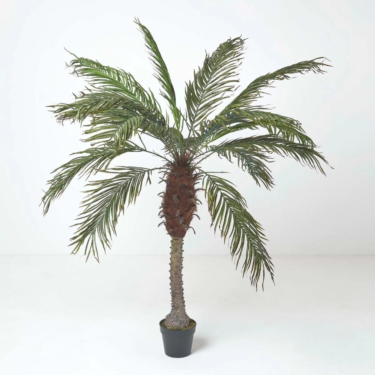Phoenix Palm Tree In Pot, 160 Cm Tall