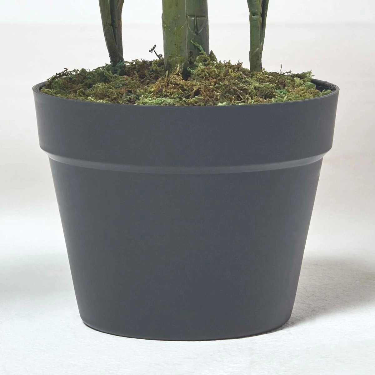 Multi Stem Green Palm Tree In Pot, 120 Cm - Image 5