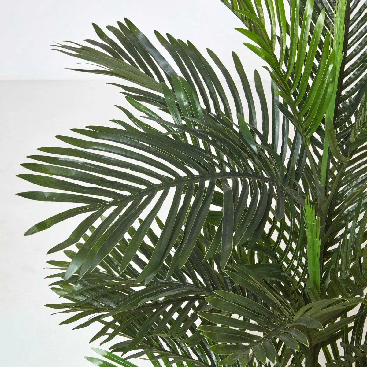 Multi Stem Green Palm Tree In Pot, 120 Cm - Image 6