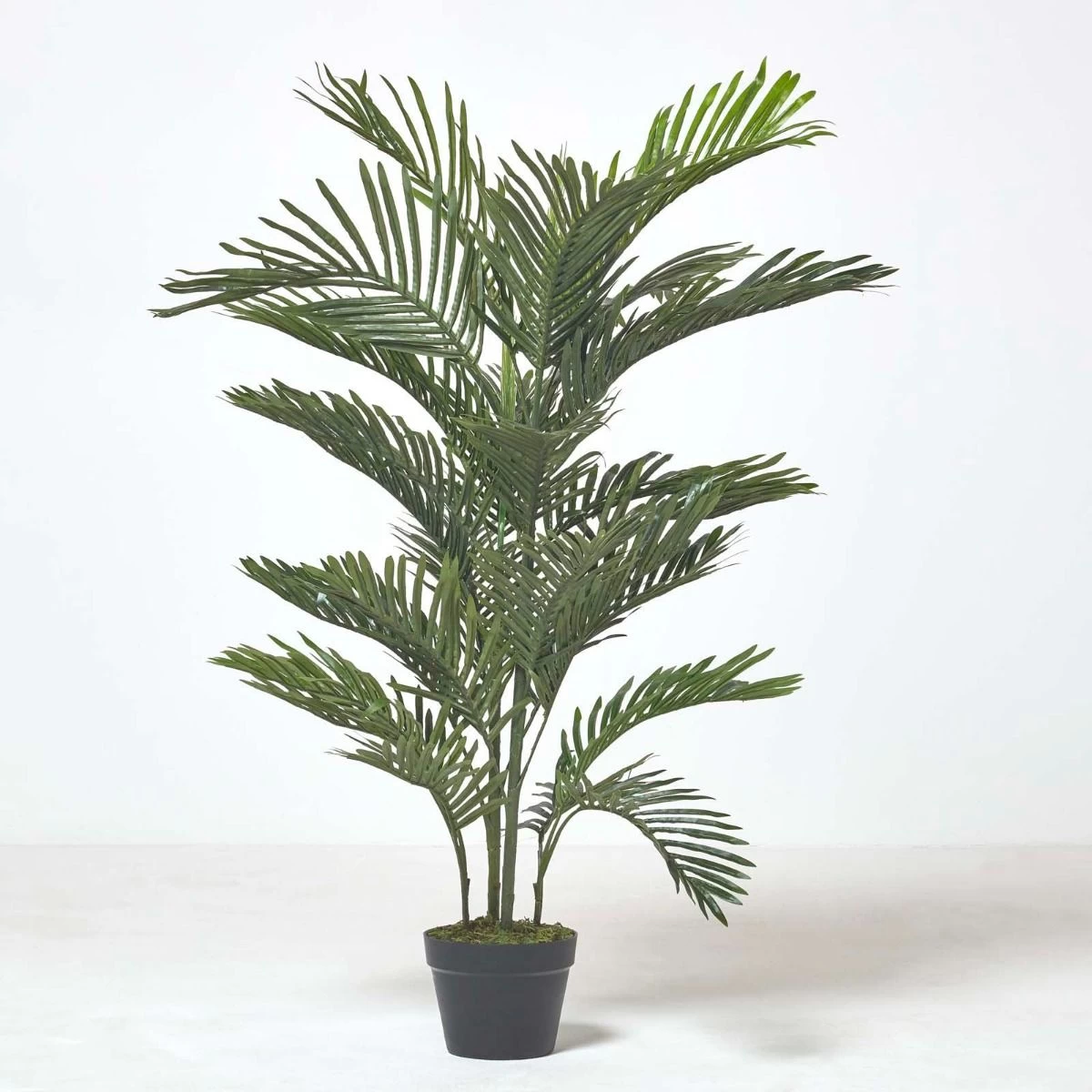 Multi Stem Green Palm Tree In Pot, 120 Cm - Image 7