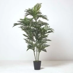 Multi Stem Green Palm Tree In Pot, 180 Cm