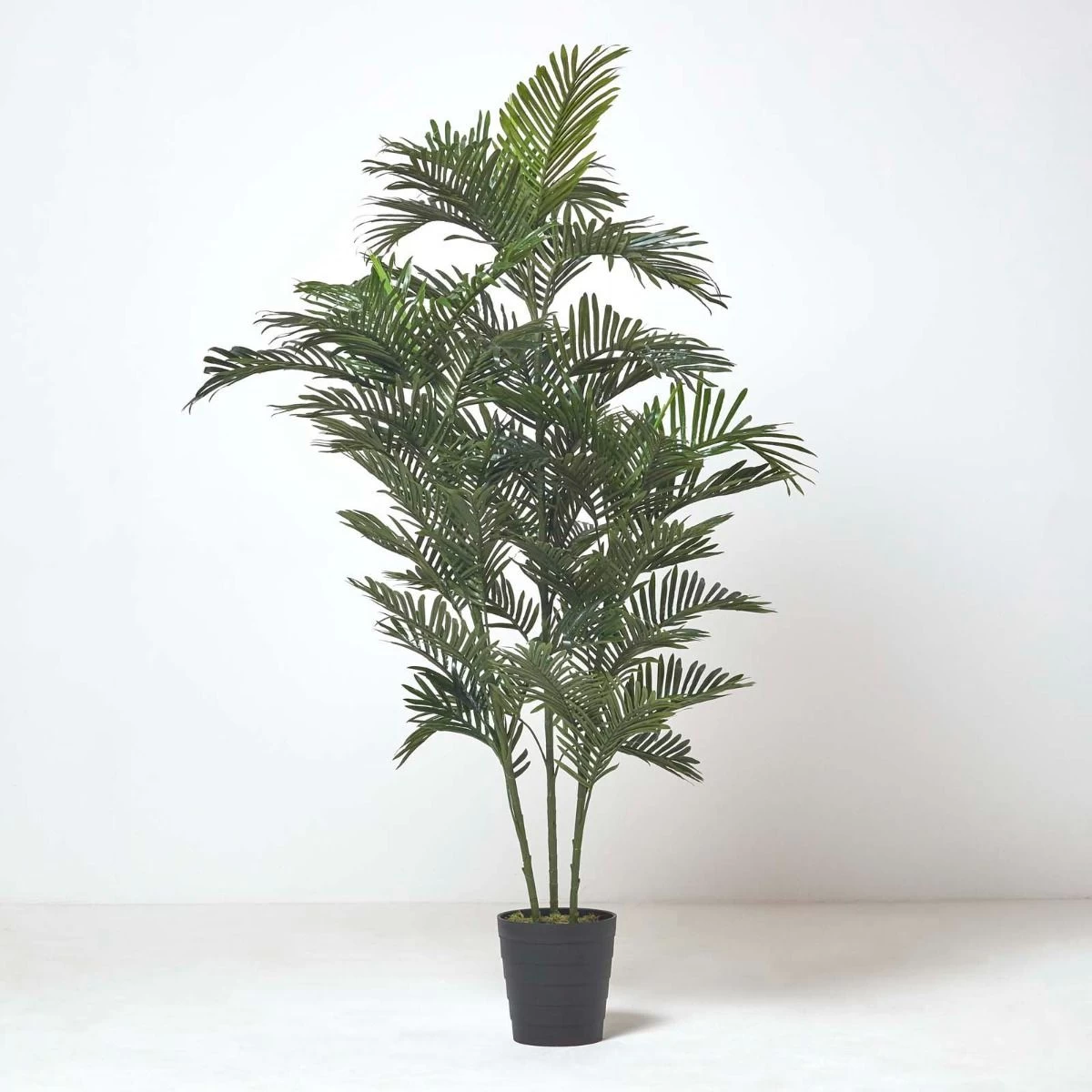 Multi Stem Green Palm Tree In Pot, 180 Cm