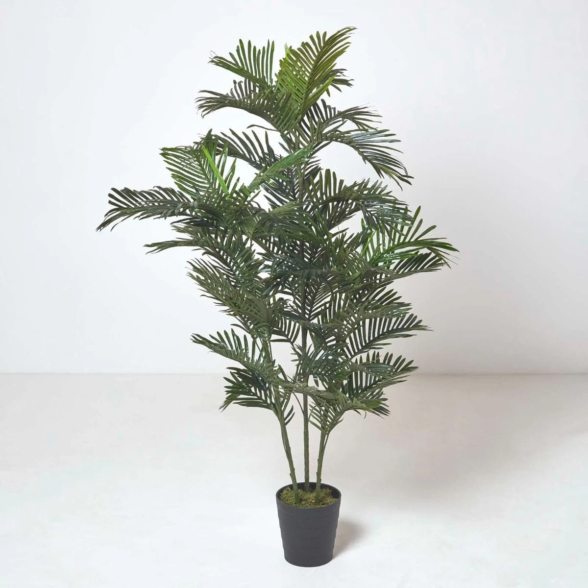 Multi Stem Green Palm Tree In Pot, 180 Cm - Image 3