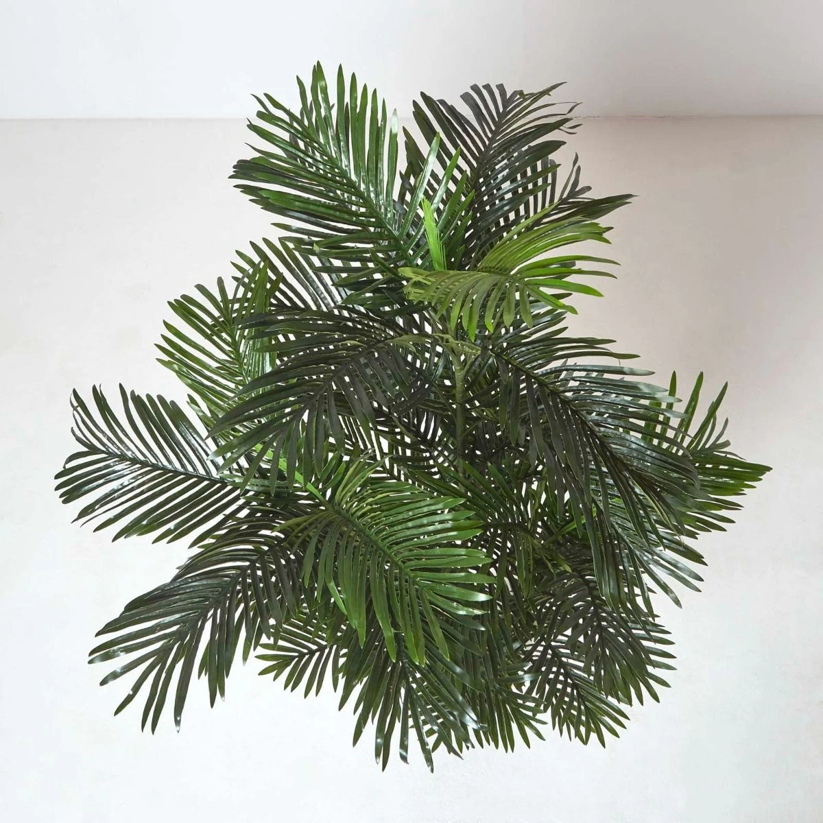 Multi Stem Green Palm Tree In Pot, 180 Cm - Image 4