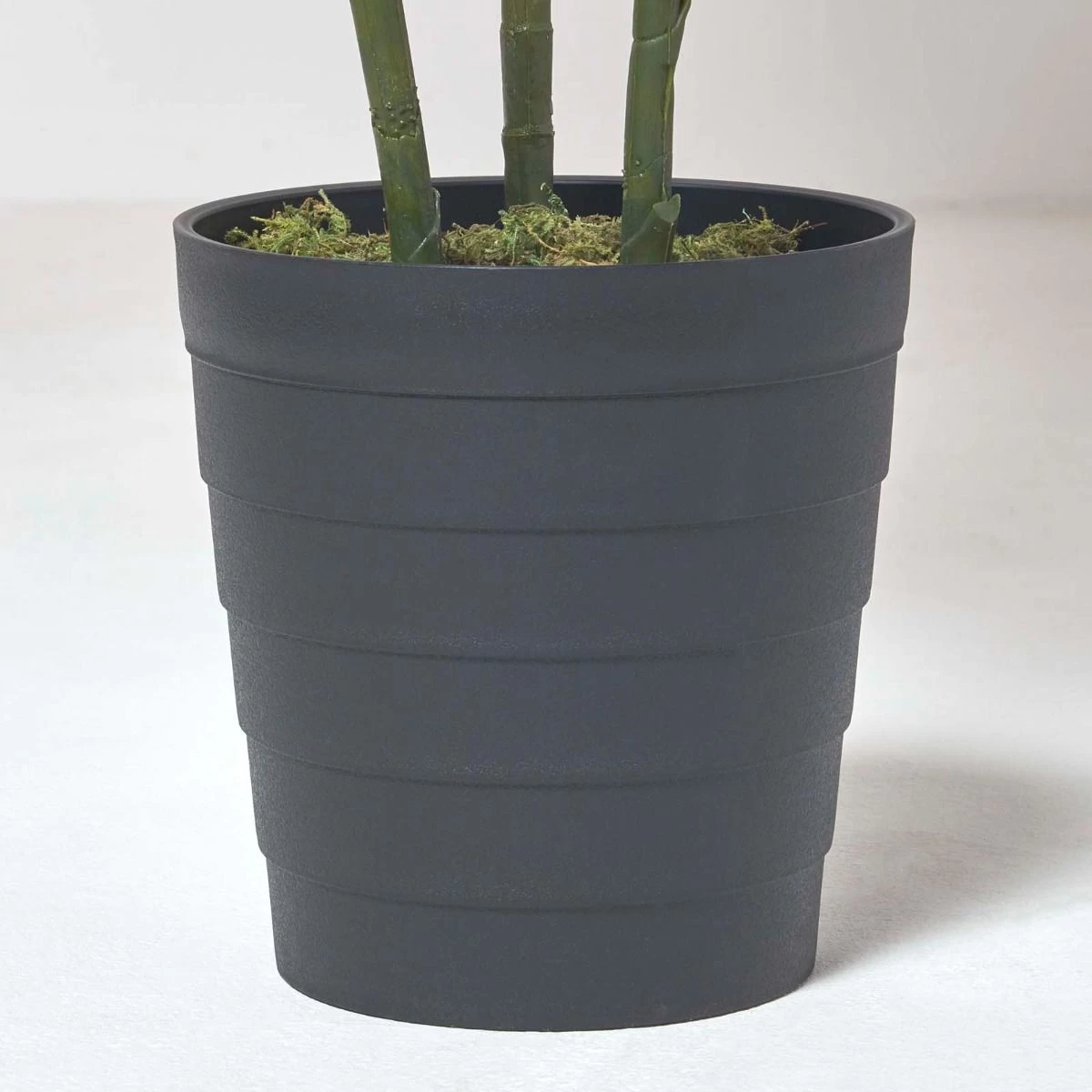 Multi Stem Green Palm Tree In Pot, 180 Cm - Image 5