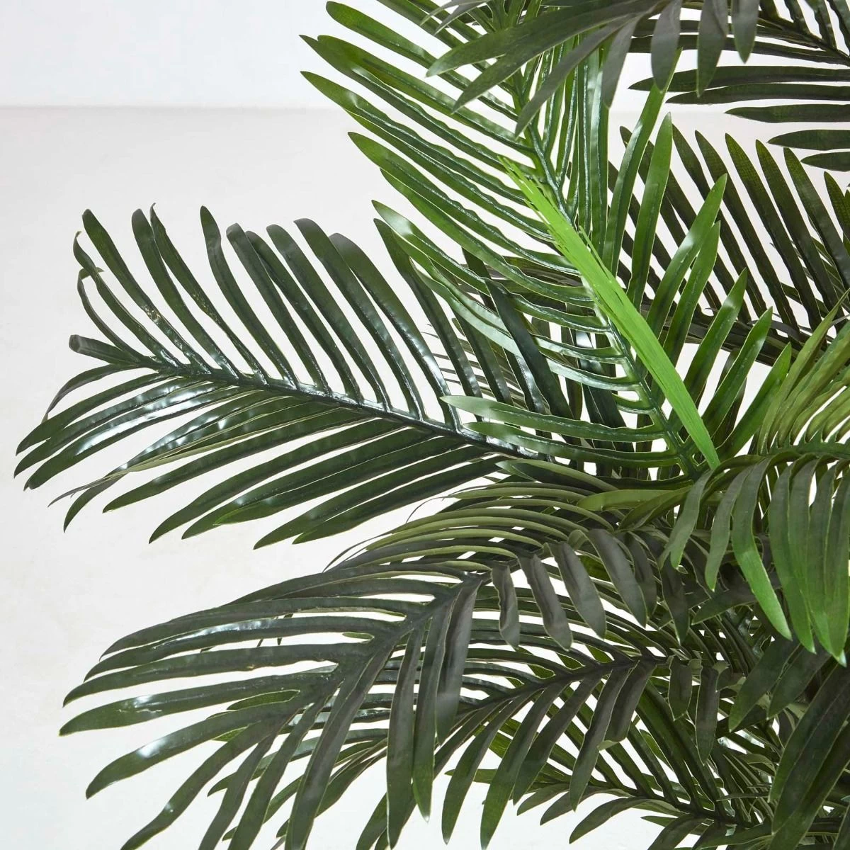 Multi Stem Green Palm Tree In Pot, 180 Cm - Image 6