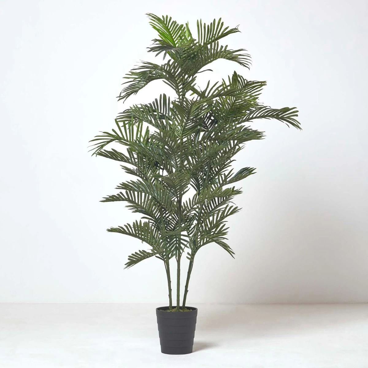 Multi Stem Green Palm Tree In Pot, 180 Cm - Image 7