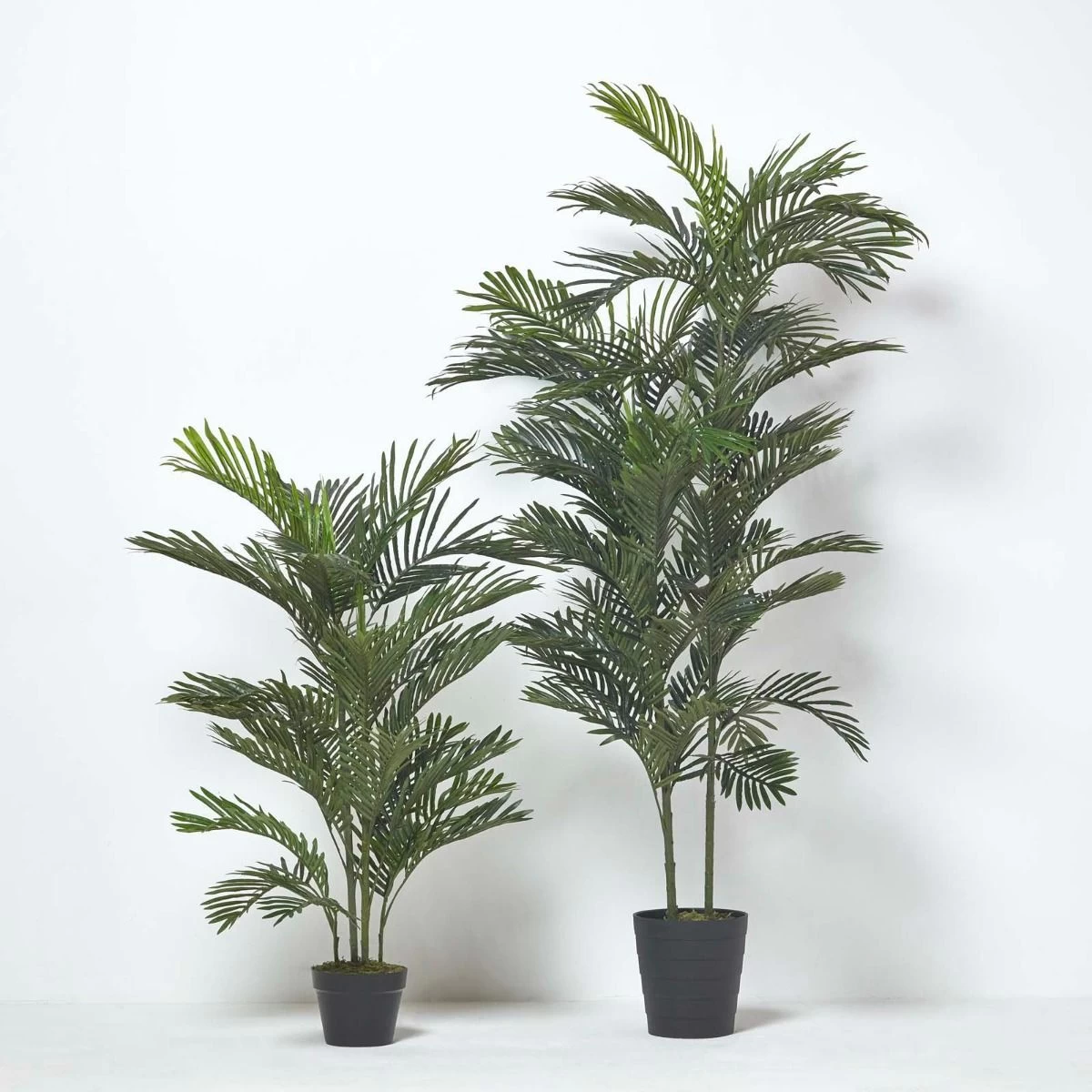 Multi Stem Green Palm Tree In Pot, 180 Cm - Image 8